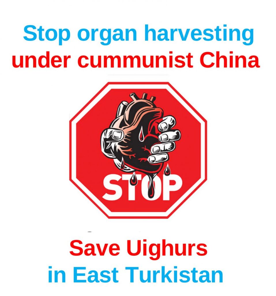Dr. Enver Tohti: Chinese regime harvesting organs from Uighur detainees in the concentration camps