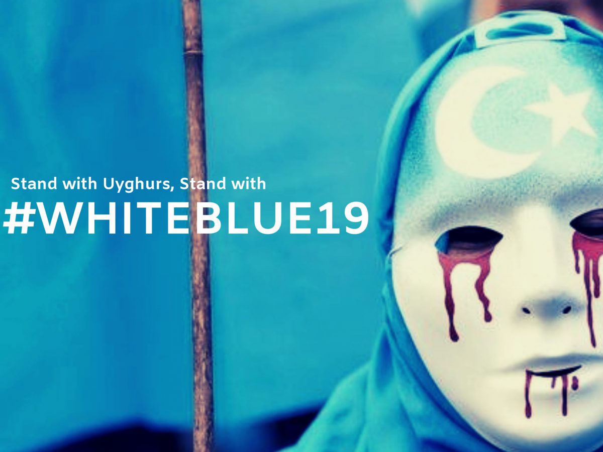 65056863_117594899497192_3377010739054116864_o