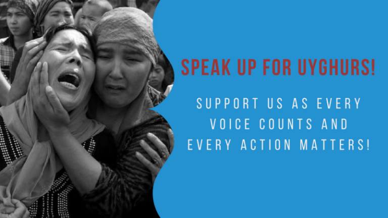 mjMNaZPZzpqEHoU-800x450-noPad