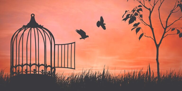 What-Would-You-Do-With-Your-Freedom