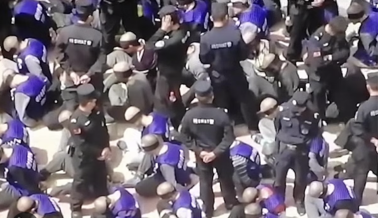 Is Uyghur genocide Real?