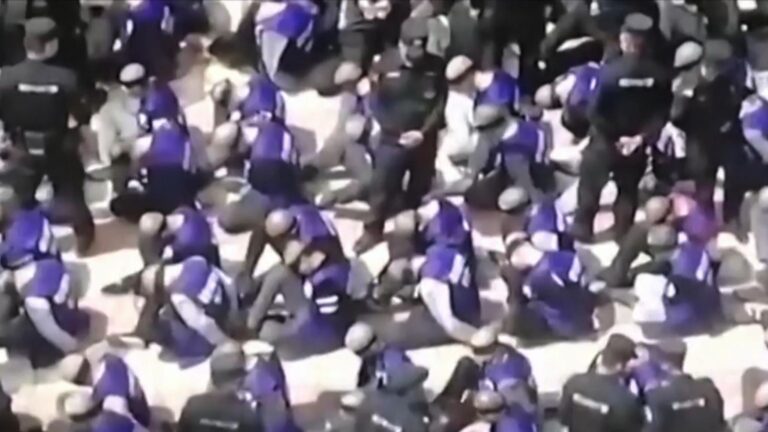 harvard -Uyghur genocide