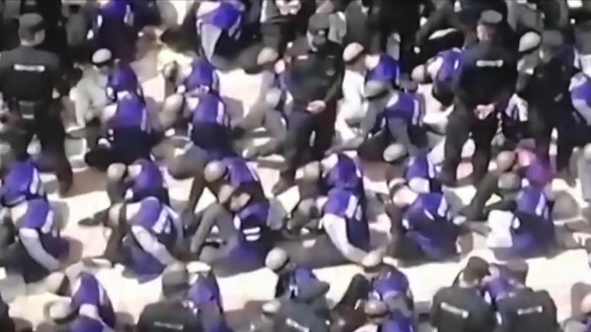 harvard -Uyghur genocide