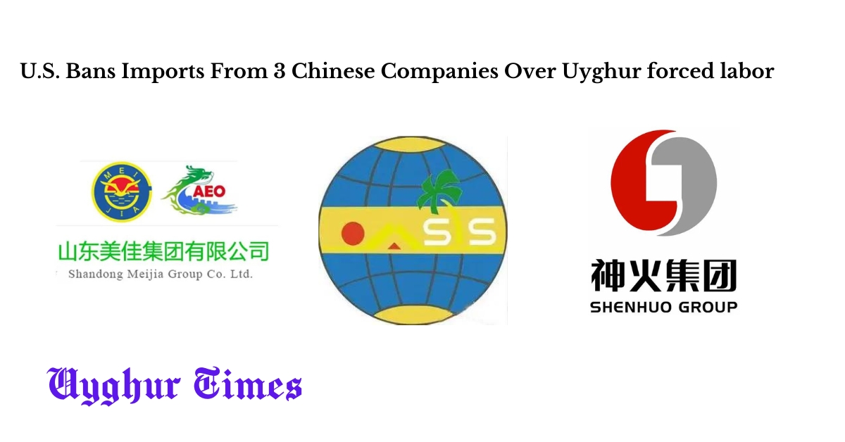 U.S. Blacklists 3 More Chinese Firms Over Uyghur Forced Labor - Uyghur ...