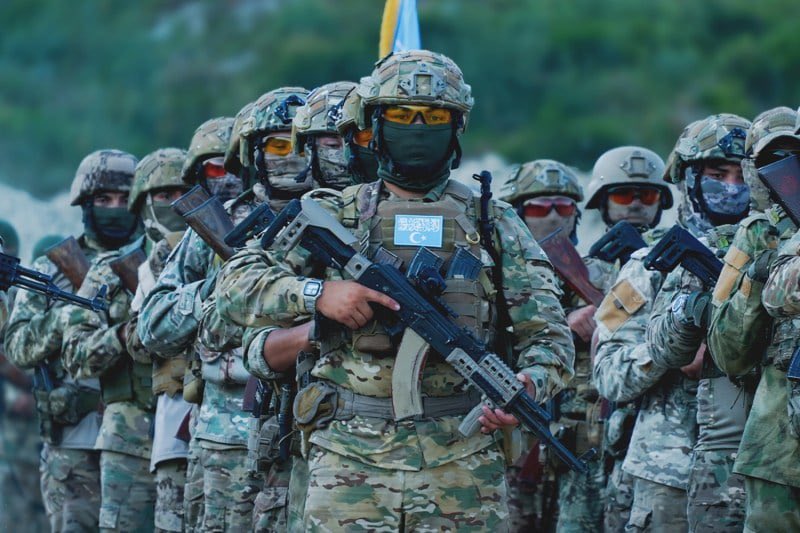 TIP in Syria