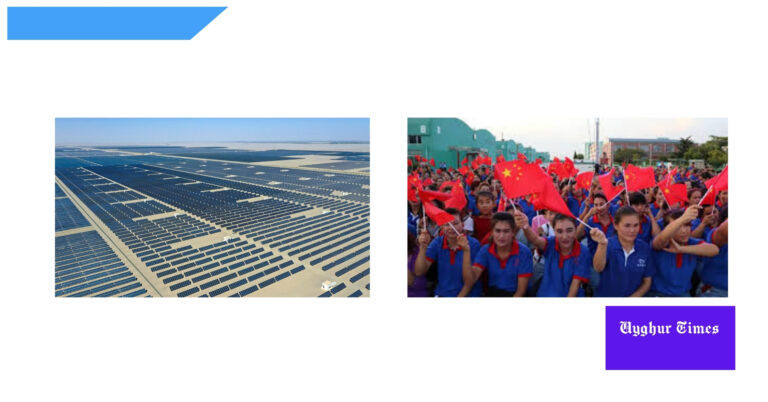 solar panel and uyghur forced labor